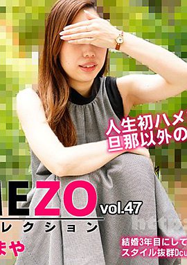 HEYZO-2943封面縮略圖